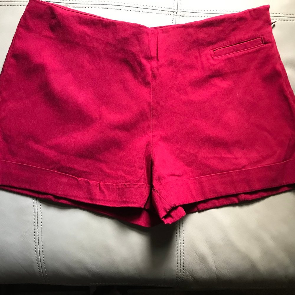 Express Shorts - Picture 2 of 4